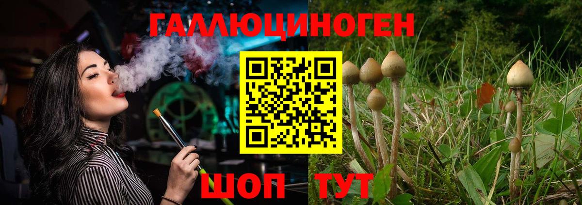 Псилоцибиновые грибы GOLDEN TEACHER Новосибирск