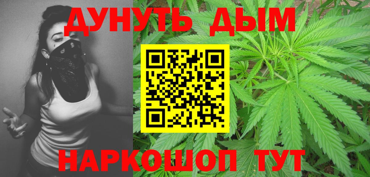 Каннабис конопля Новосибирск